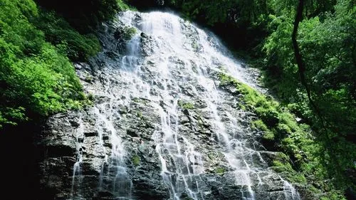 可靠性高精度